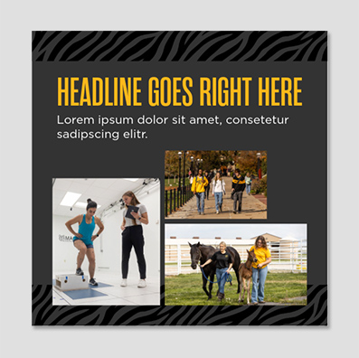 Bold headline with body copy and three images in a grid.