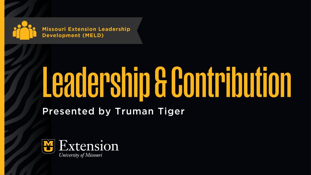 Example first page of presentation deck.