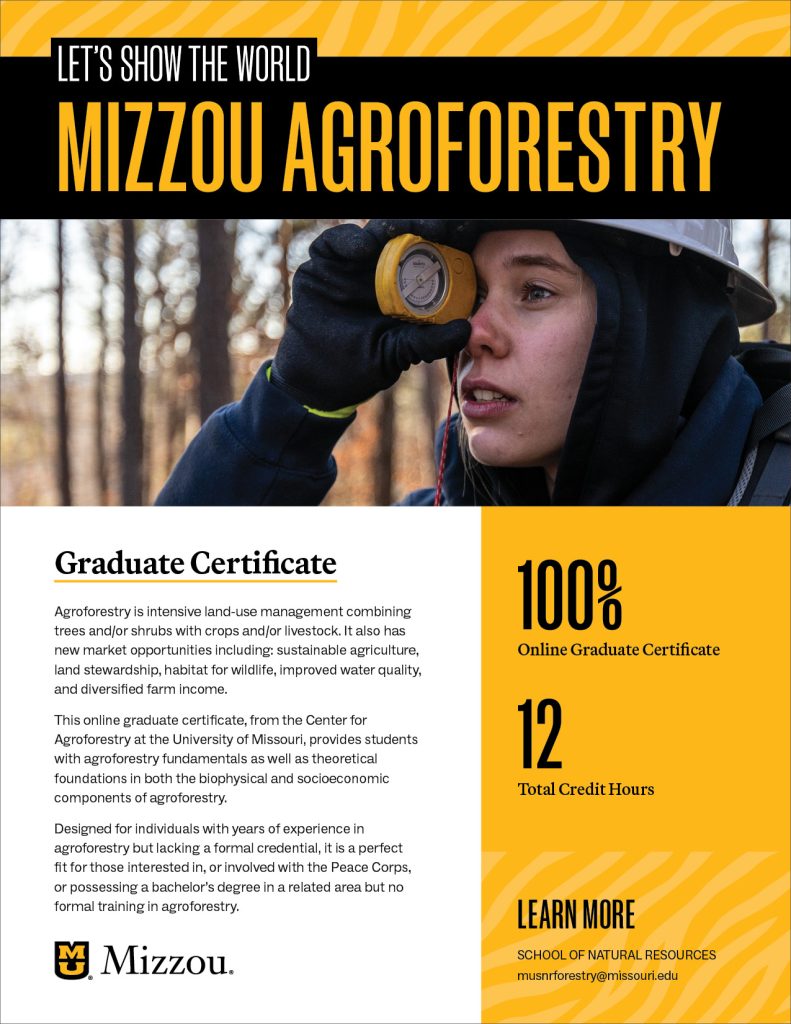 Marketing flyer example with slogan used as a subhead above headline.