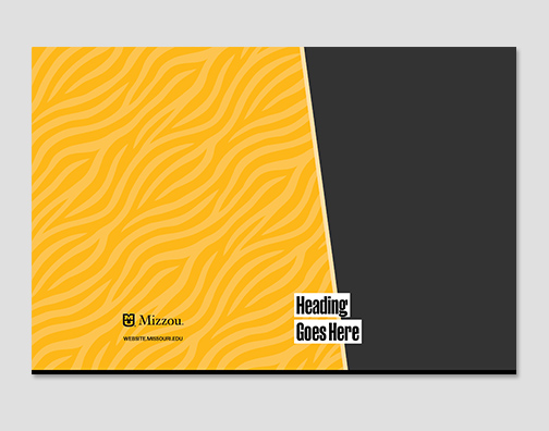 Pocket folder with tiger stripes and large photo.